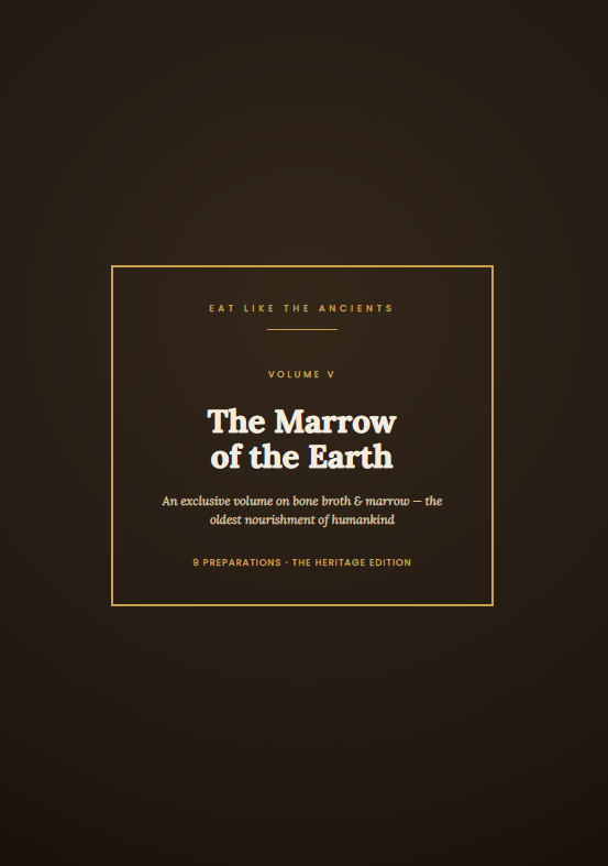 The Marrow of the Earth — 9 Bone Broth & Marrow Recipes